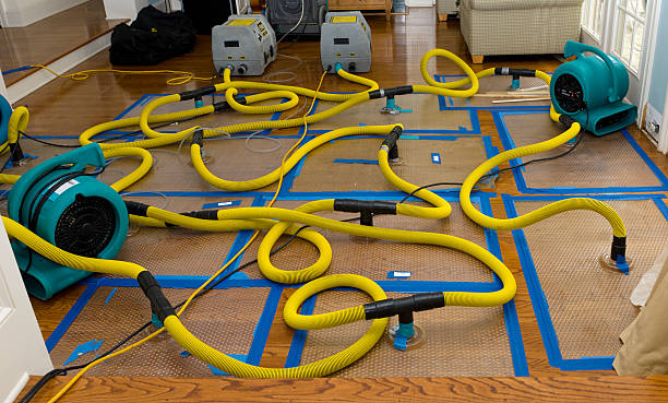 Professional Flood Damage Restoration technician working in Boys Town, NE